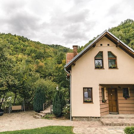 Lodge Zeleni Svet Crni Vrh エクステリア 写真