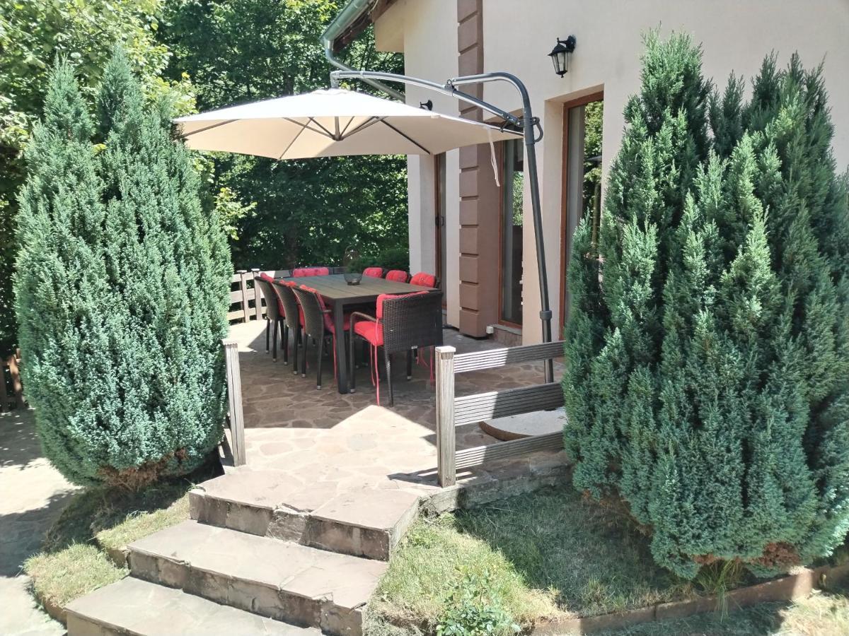 Lodge Zeleni Svet Crni Vrh エクステリア 写真