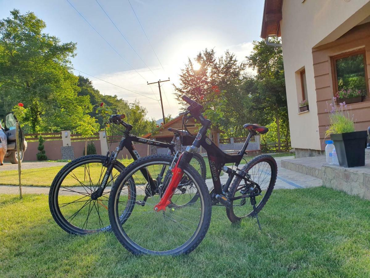 Lodge Zeleni Svet Crni Vrh エクステリア 写真