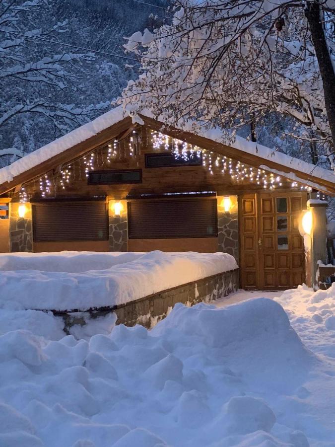 Lodge Zeleni Svet Crni Vrh エクステリア 写真