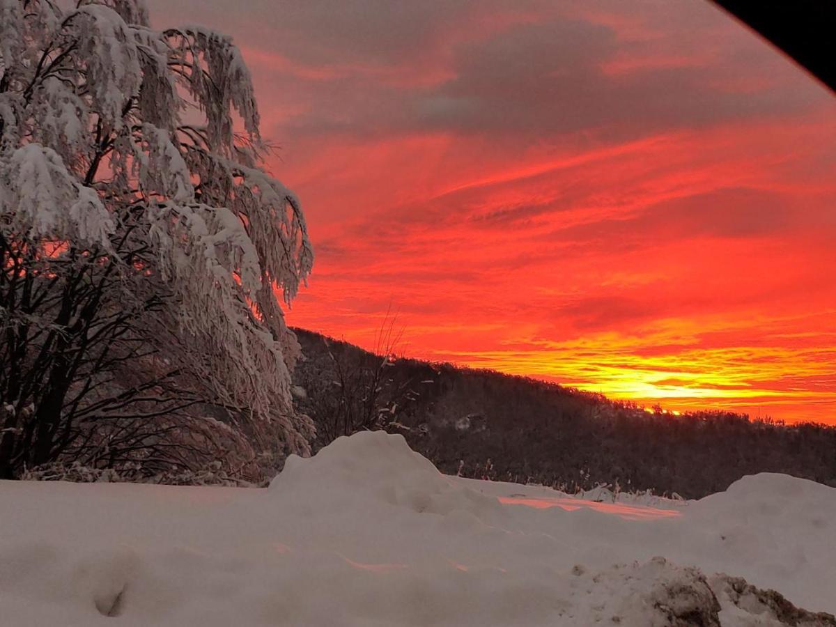 Lodge Zeleni Svet Crni Vrh エクステリア 写真